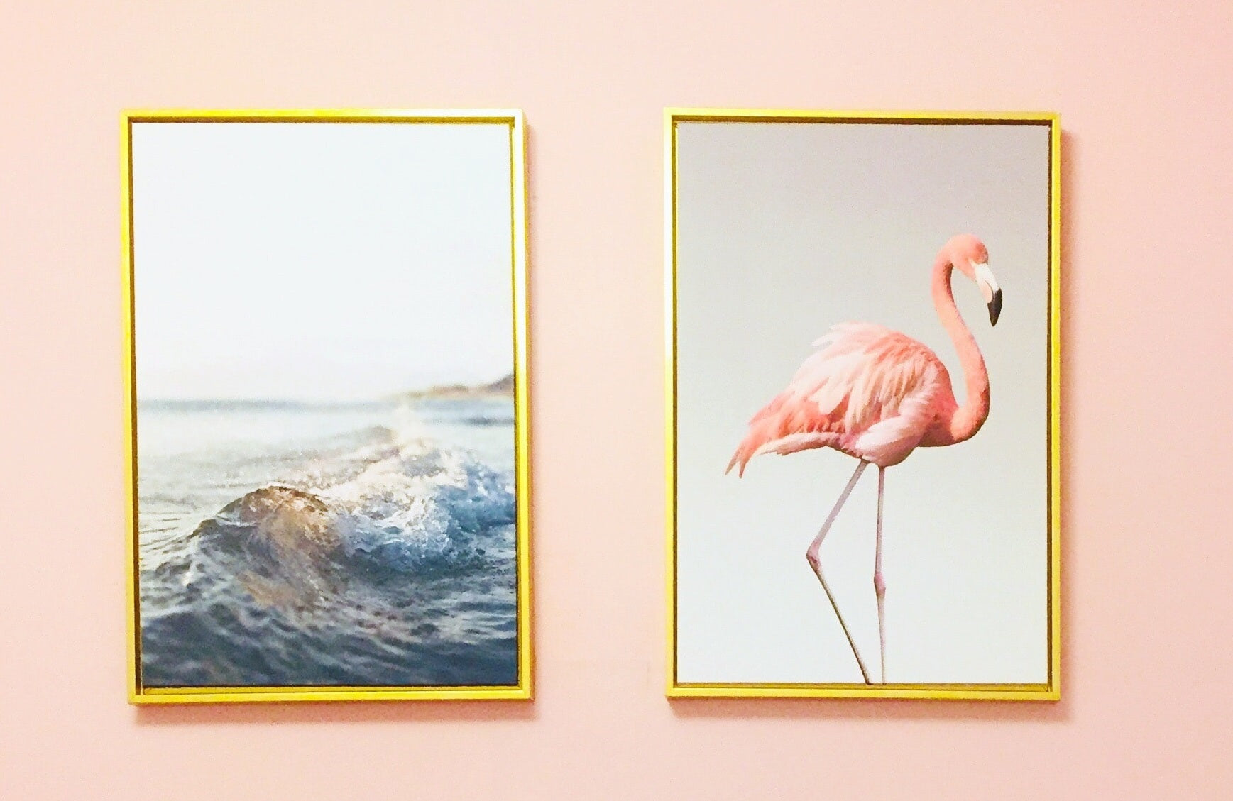 Beautiful Birds in Décor