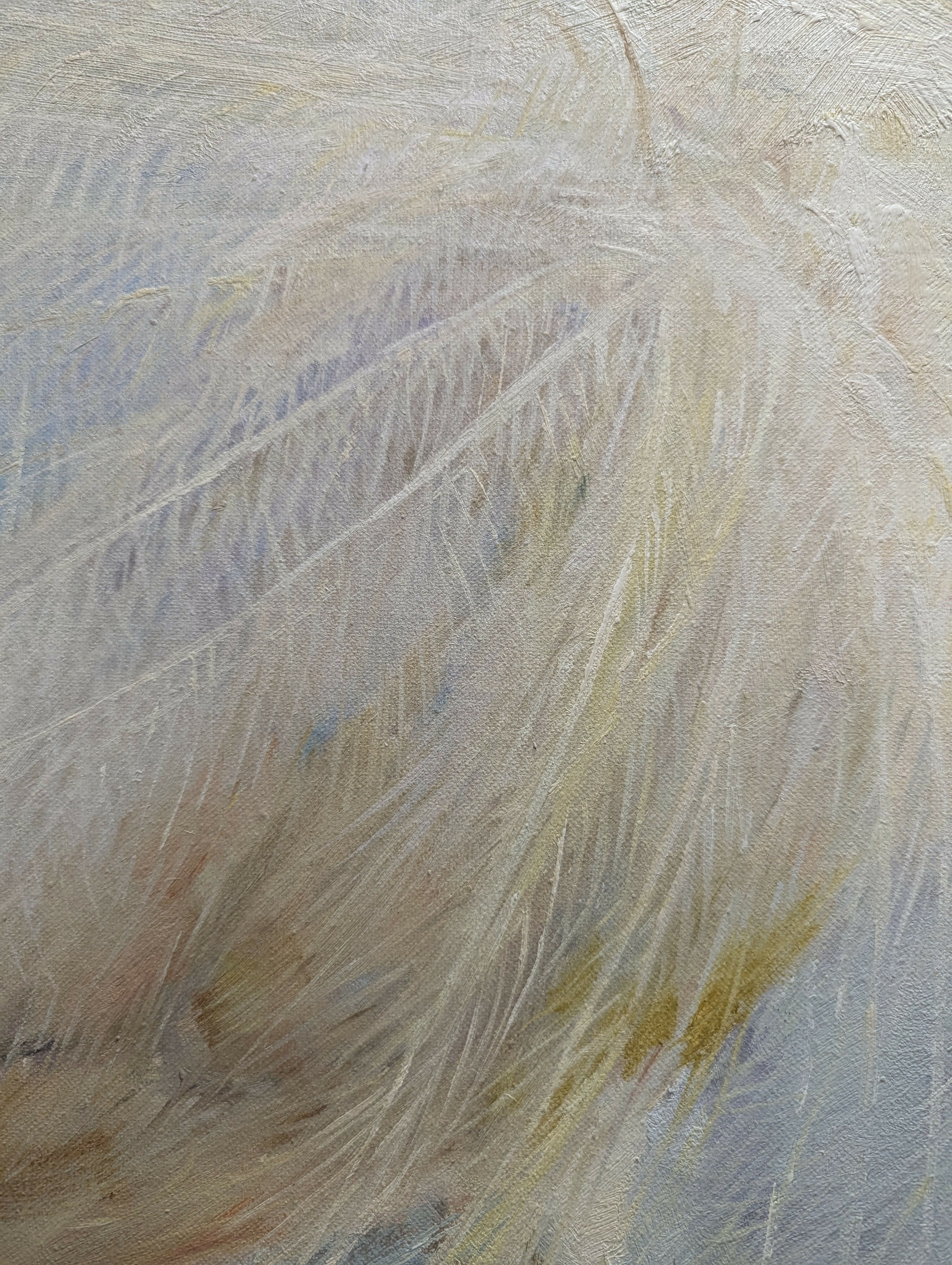 1000030960