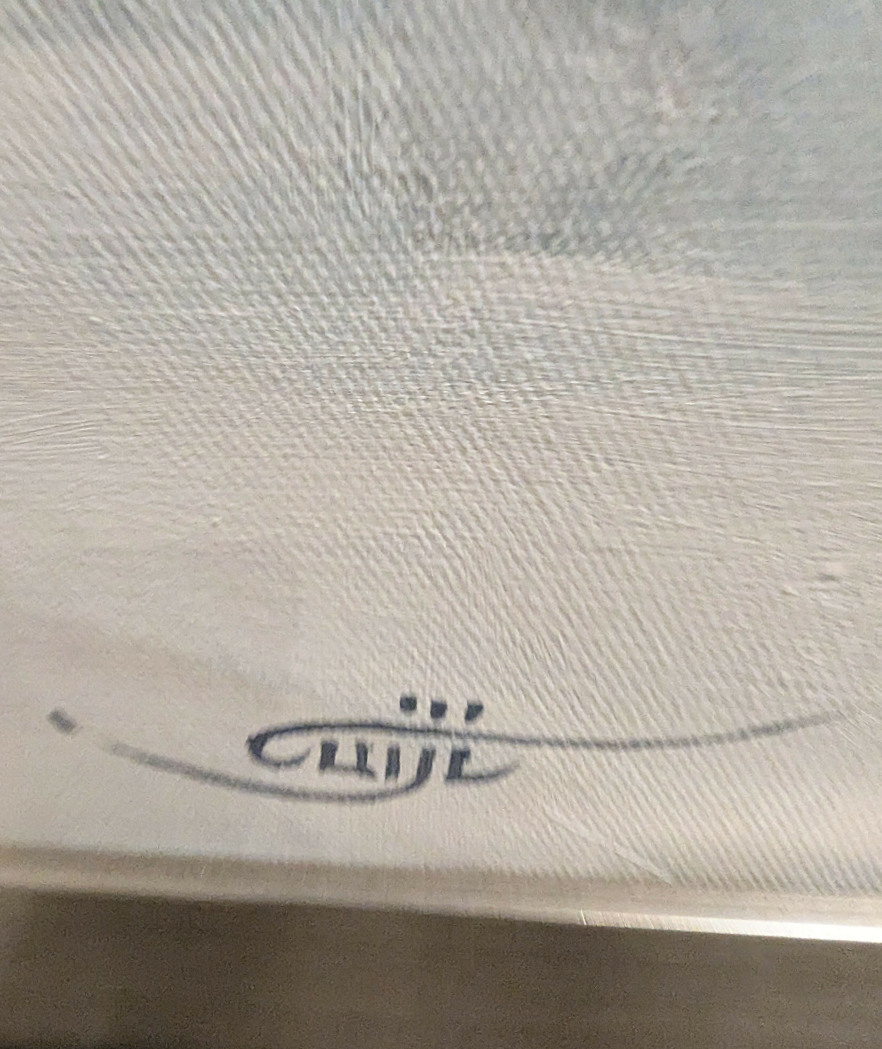 1000031196