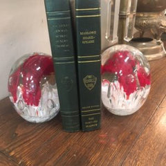 Pair of Large Blown Glass Trumpet Flower Bookends